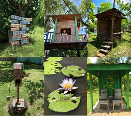 藝術(shù)點(diǎn)亮土溝 鄉(xiāng)村觀察 臺灣